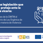 aportaciones cimtm violencia vicaria